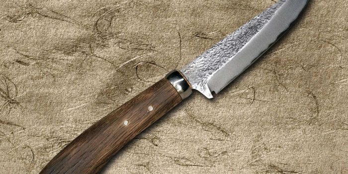 Artisan Craftsmanship Meets Performance: Takayuki Iwai Aogami No.2 Hammered OKRC Knife Review